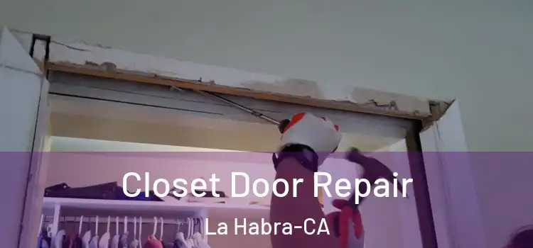  Closet Door Repair La Habra-CA