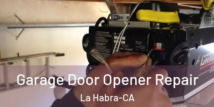 Garage Door Opener Repair La Habra-CA