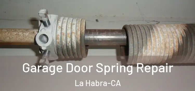 Garage Door Spring Repair La Habra-CA